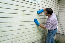 Best Historical Building Siding Restoration  in Forest View, IL